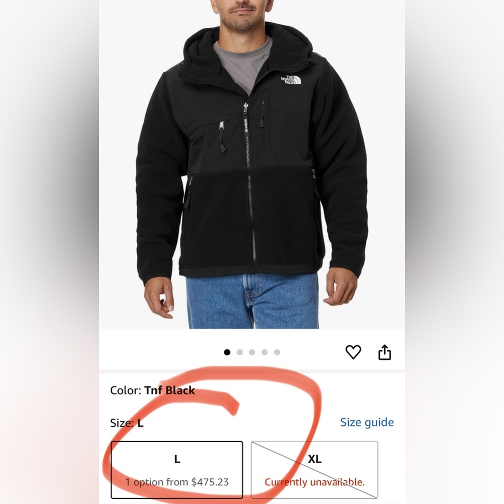 THE NORTH FACE Men's Retro Denali Hoodie